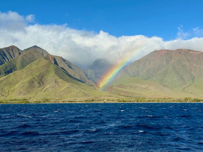 Send your best photos from Maui County to mauiphotos@mauinews.com for a chance to see them featured on our website and in our weekly print edition.